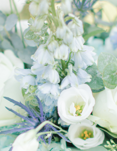 Background of a hydrangea bouquet up close